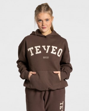 Teveo College Oversized Hoodie Dunkelbraun | GNUJMQ-750